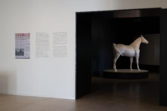 Local - Centro de Memória do Forte S. João de Deus - Bragança| Bragança| Terras de Trás-os-Montes