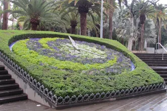 Local - Parque García Sanabria  - Santa Cruz de Tenerife| Santa Cruz de Tenerife