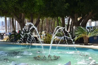 Point of Interest - Parque de Elche - Benidorm| Alicante/Alacant