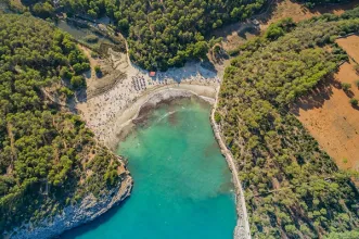 Local - Cala S'Amarador - Palma| Illes Balears