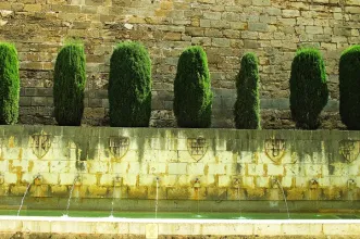 Local - S’Hort del Rei - Palma| Illes Balears