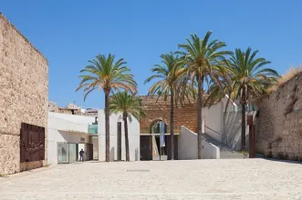 Local - Es Baluard Museu d'Art Contemporani de Palma - Palma| Illes Balears
