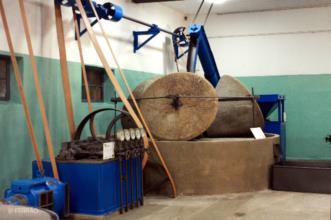 Point of Interest - Museu da Adega Cooperativa de Granja - Granja| Mourão| Alentejo Central