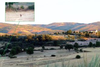 Local - Fauna silvestre e o Homem - Baçal| Bragança| Terras de Trás-os-Montes
