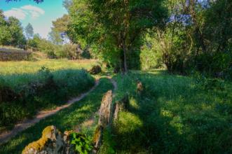 Local - Lameiros de Varge - Varge| Bragança| Terras de Trás-os-Montes