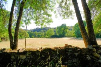 Local - Lameiros de Varge - Varge| Bragança| Terras de Trás-os-Montes