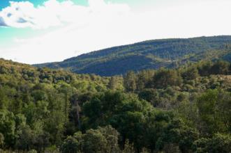 Local - Cabeço dos Mouros - Aveleda| Bragança| Terras de Trás-os-Montes