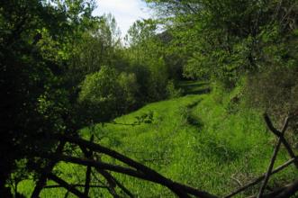 Point of Interest - Agueira (levada) dos lameiros das Rachas - Aveleda| Bragança| Terras de Trás-os-Montes