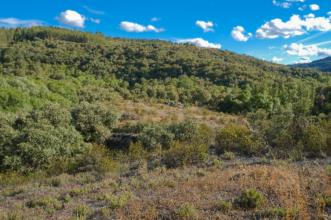 Local - Cortelhos das Rachas - Aveleda| Bragança| Terras de Trás-os-Montes