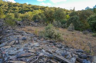 Local - Cortelhos das Rachas - Aveleda| Bragança| Terras de Trás-os-Montes