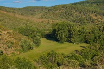 Local - Coutos - Rio de Onor | Bragança| Terras de Trás-os-Montes