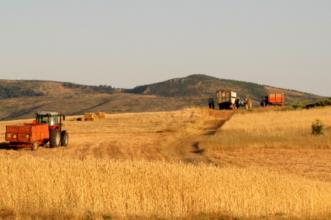 Local - Searas - Baçal| Bragança| Terras de Trás-os-Montes