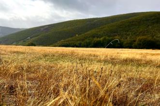 Local - Vale de Ramiro - Aveleda| Bragança| Terras de Trás-os-Montes
