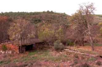 Local - Moinho das Rachas - Aveleda| Bragança| Terras de Trás-os-Montes