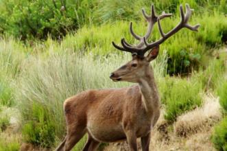 Local - Tapada Nacional de Mafra - Mafra| Mafra| Área Metropolitana de Lisboa