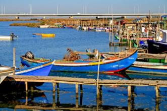Local - Samouco - Samouco| Alcochete| Área Metropolitana de Lisboa