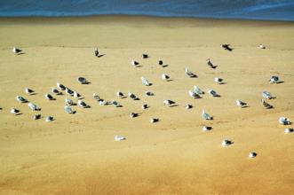 Local - Praia das Bicas - Castelo| Sesimbra| Área Metropolitana de Lisboa