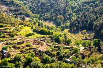 Ponto de Interesse - Ponte e Calçada Romana  - Murça| Murça| Douro