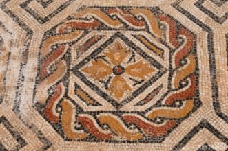 Local - Villa Romana - Rio Maior| Rio Maior| Lezíria do Tejo