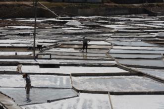 Local - Ecomuseu Salinas de Rio Maior  - Rio Maior| Rio Maior| Lezíria do Tejo