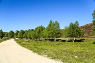Local - Área de Lazer das Veigas - Castro Laboreiro| Melgaço| Alto Minho