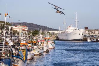 Local - Navio-hospital Gil Eannes - Viana do Castelo| Viana do Castelo| Alto Minho