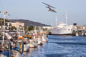 Ponto de Interesse - Navio-hospital Gil Eannes - Viana do Castelo| Viana do Castelo| Alto Minho