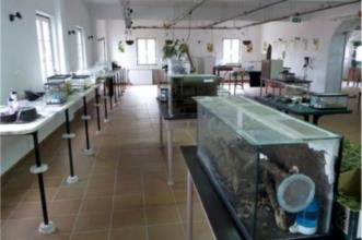 Point of Interest - CAPPAS INSECTOZOO - Museu Vivo de Insectos Sociais - Vila Ruiva| Cuba| Baixo Alentejo