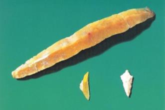 Local - Sala Museu Município de Mogadouro - Mogadouro| Mogadouro| Terras de Trás-os-Montes