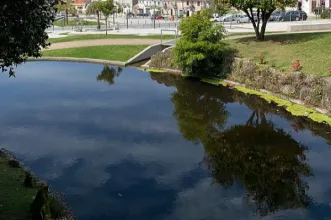 Local - Parque do Sameiro - Penafiel| Penafiel| Tâmega e Sousa