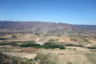 Local - Vale da Vilariça - Torre de Moncorvo| Douro