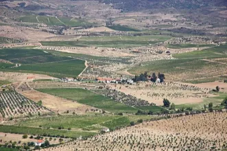 Local - Vale da Vilariça - Torre de Moncorvo| Douro