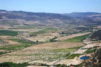 Local - Vale da Vilariça - Torre de Moncorvo| Douro