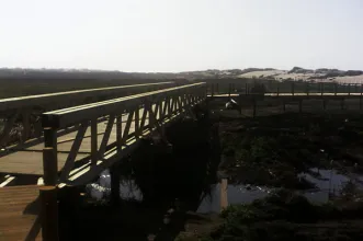 Local - Reserva Ornitológica de Mindelo - Mindelo| Vila do Conde| Área Metropolitana do Porto