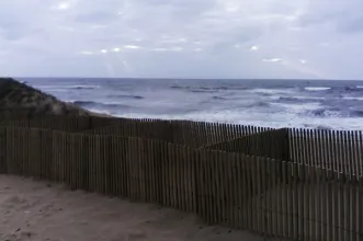 Local - Reserva Ornitológica de Mindelo - Mindelo| Vila do Conde| Área Metropolitana do Porto