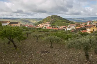 Local - Castelo Melhor - Castelo Melhor| Vila Nova de Foz Côa| Douro