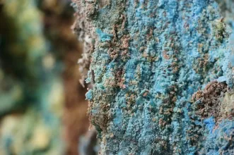 Local - Parque Mineiro de Aljustrel  - Aljustrel| Aljustrel| Baixo Alentejo