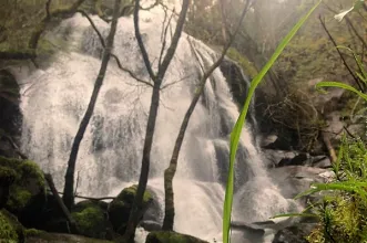 Local - Cascata das Lages Altas - Infesta| Paredes de Coura| Alto Minho