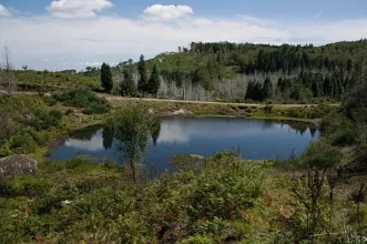 Local - Paisagem Protegida do Corno de Bico - Bico, Castanheira, Cristelo, Parada e Vascões| Paredes de Coura| Alto Minho