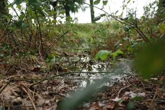 Local - Paisagem Protegida do Corno de Bico - Bico, Castanheira, Cristelo, Parada e Vascões| Paredes de Coura| Alto Minho