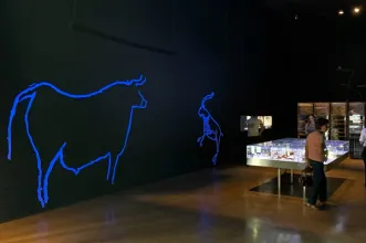 Local - Museu do Côa - Vila Nova de Foz Côa| Vila Nova de Foz Côa| Douro