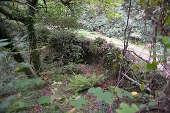 Local - Ponte de Cavalos - Cepelos| Vale de Cambra| Área Metropolitana do Porto