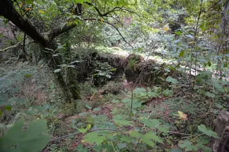 Local - Ponte de Cavalos - Cepelos| Vale de Cambra| Área Metropolitana do Porto