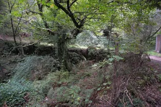 Local - Ponte de Cavalos - Cepelos| Vale de Cambra| Área Metropolitana do Porto
