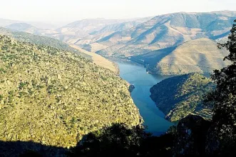 Ponto de Interesse - Miradouro São Salvador do Mundo - São João da Pesqueira| São João da Pesqueira| Douro