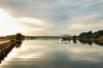 Ponto de Interesse - Pateira de Fermentelos - Águeda, Aveiro, Oliveira do Bairro| Águeda| Região de Aveiro