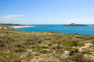 Ponto de Interesse - Ilha do Pessegueiro - Porto Covo| Sines| Alentejo Litoral