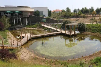 Local - Centro Ciência Viva da Floresta - Moitas| Proença-A-Nova| Beira Baixa
