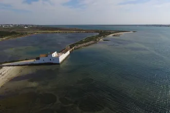 Local - Centro de Educação Ambiental de Marim - Quelfes| Olhão| Algarve