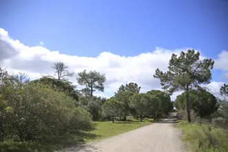 Local - Centro de Educação Ambiental de Marim - Quelfes| Olhão| Algarve